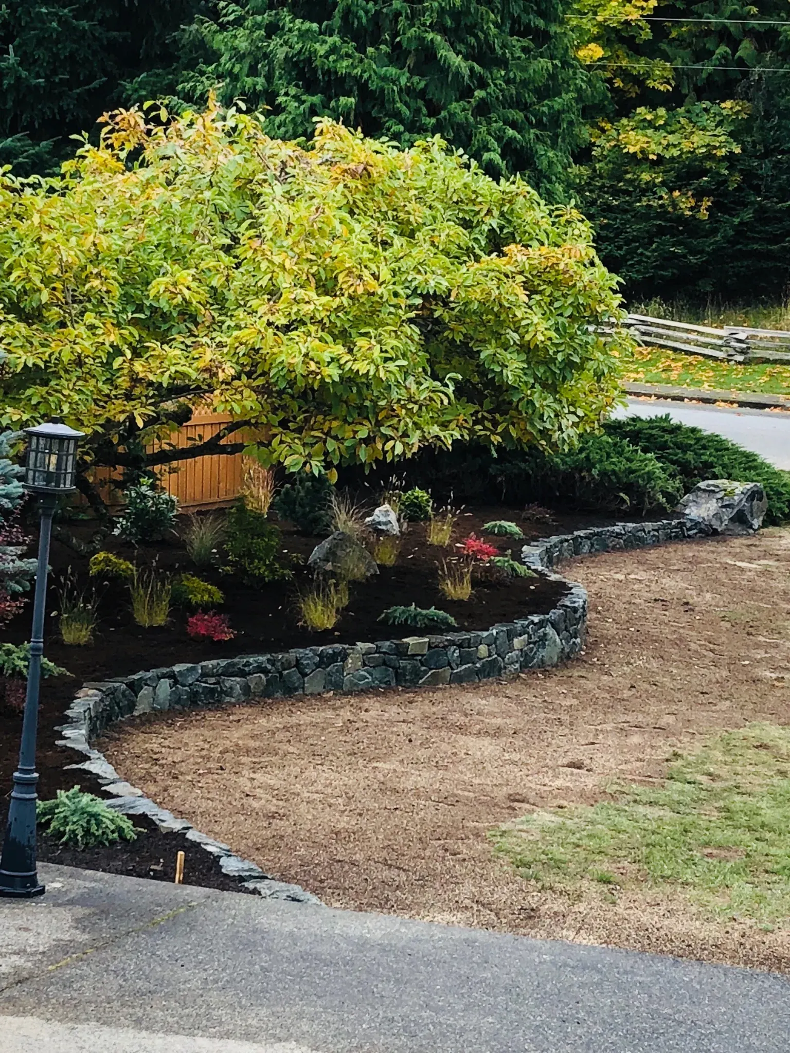 Planted bed and lawn with a path light standing among the shrubs