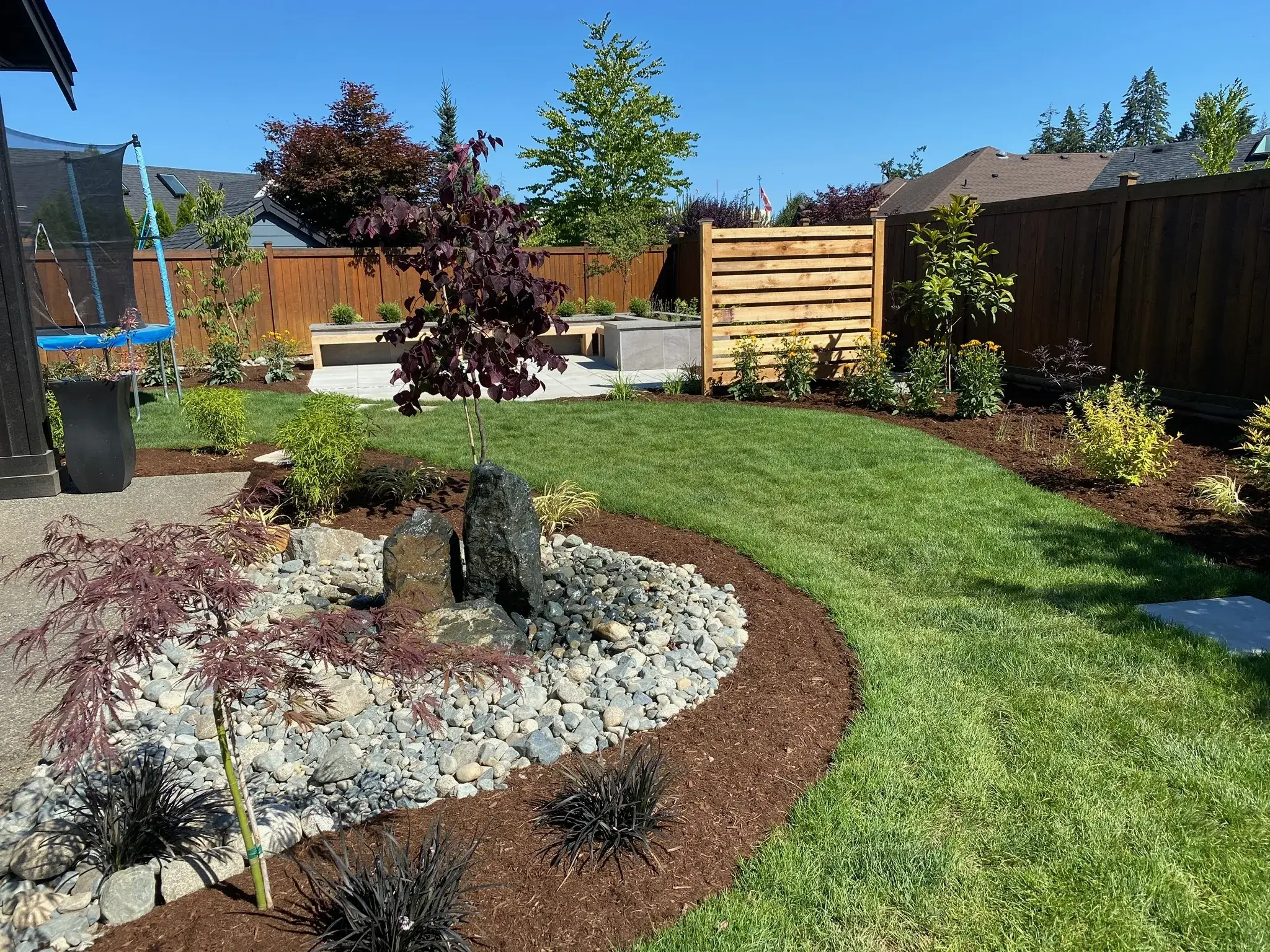 Backyard lawn, planted beds, and a Japanese maple on a finished build