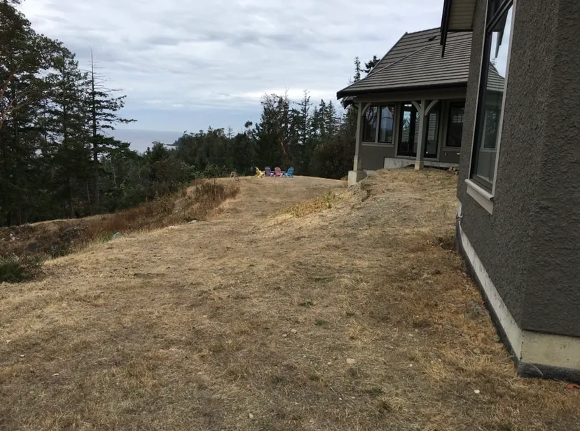 The bare, sloping dry-grass backyard before work began, beside the gray stucco home overlooking the ocean